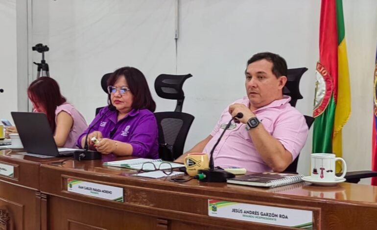 Concejo recibió informe detallado sobre elección del Premio a la Virtud de la Mujer Neivana