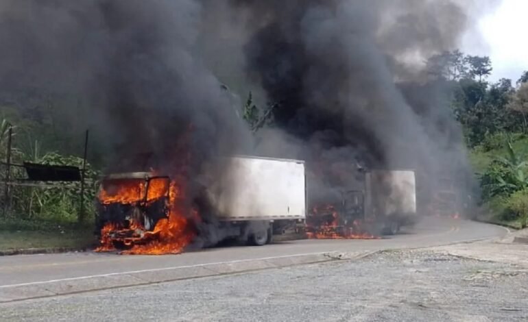 Continúa la preocupación por paro armado del ELN en todo el país